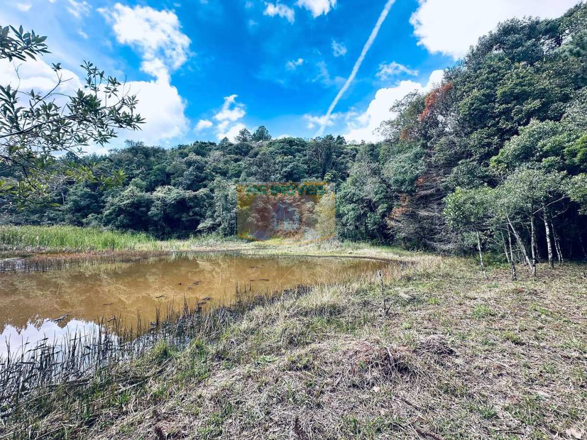 Chácara à venda em Piraquara, Recreio da Serra, 15.000m²