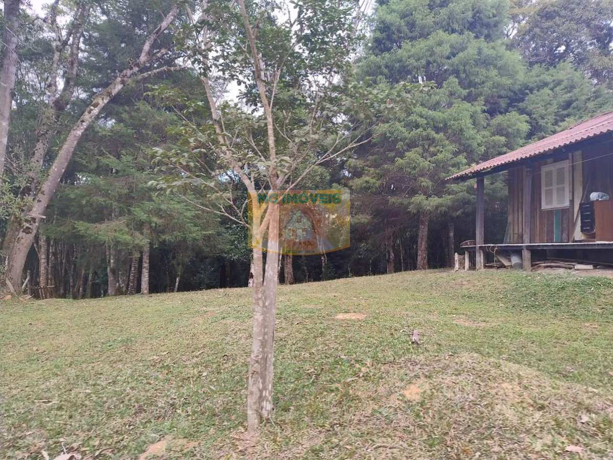 Chácara à venda em Piraquara, Roça Nova, 20.000m²